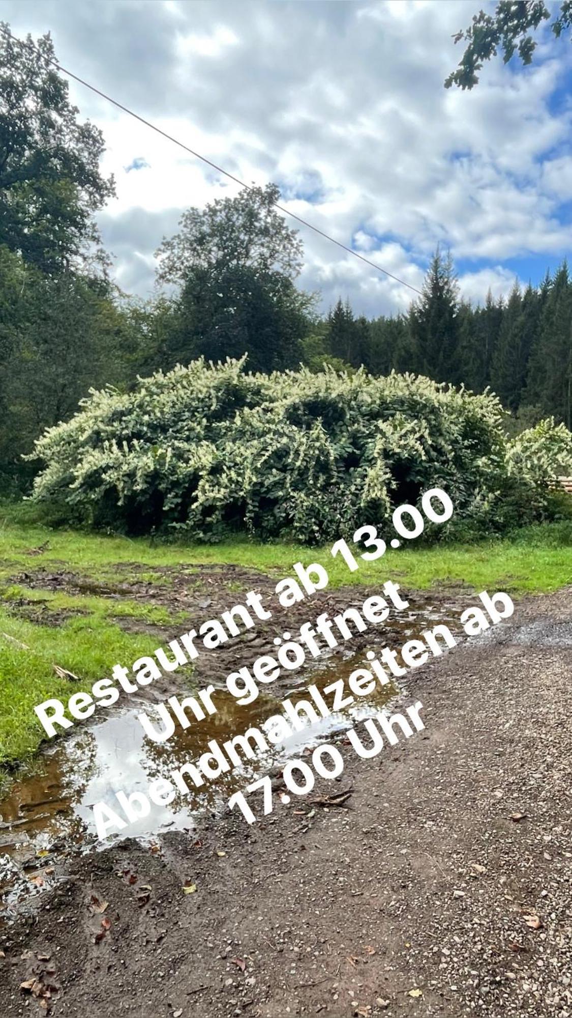 Pension Zur Quelle Deudesfeld Luaran gambar